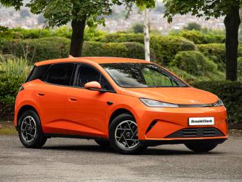 BYD Dolphin G details